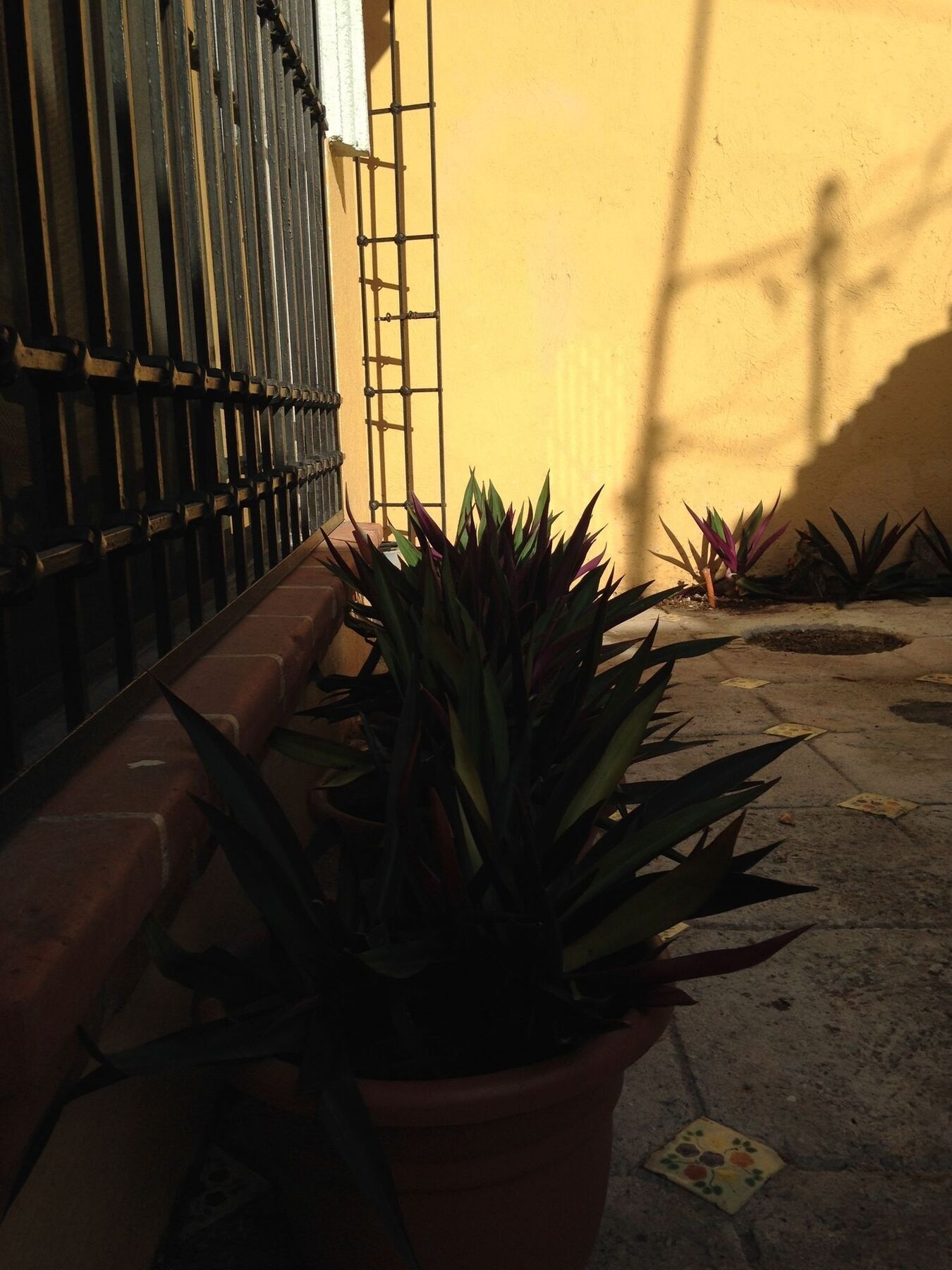 Hostel Kaana 4 You Cancun Dış mekan fotoğraf